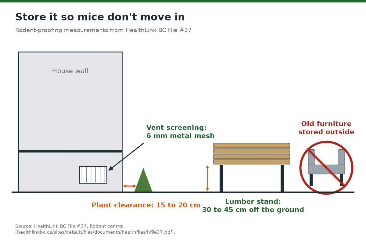 Diagram of rodent-proof storage: lumber 30 to 45 cm off the ground, 15 to 20 cm plant clearance and 6 mm vent screening.